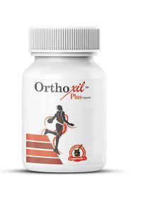 OrthoXil Plus - Arthritis, Back Pain Ayurvedic Herbal Treatment 2 X 60 Capsules SK141